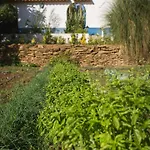 Entire Hosted By Noam Landhaus Cercal do Alentejo