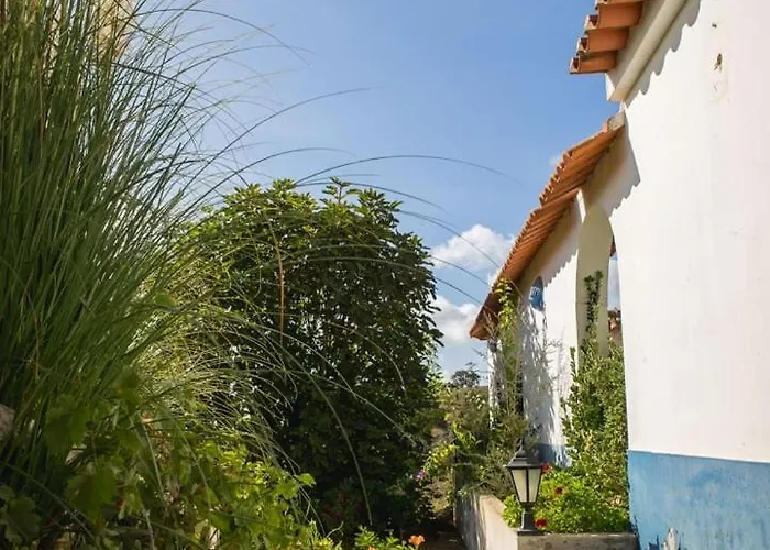 Entire Hosted By Noam * Cercal do Alentejo