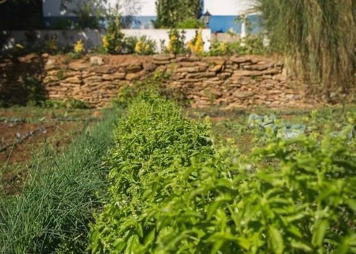 Entire Hosted By Noam Casa rural Cercal do Alentejo