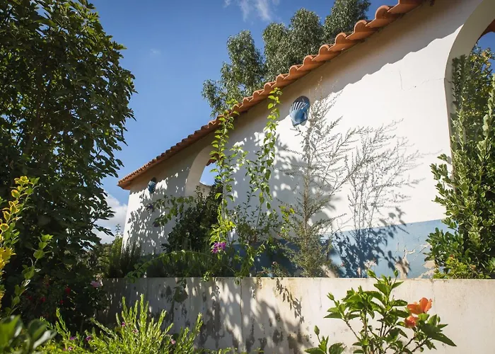 Casa rural Entire Hosted By Noam Cercal do Alentejo