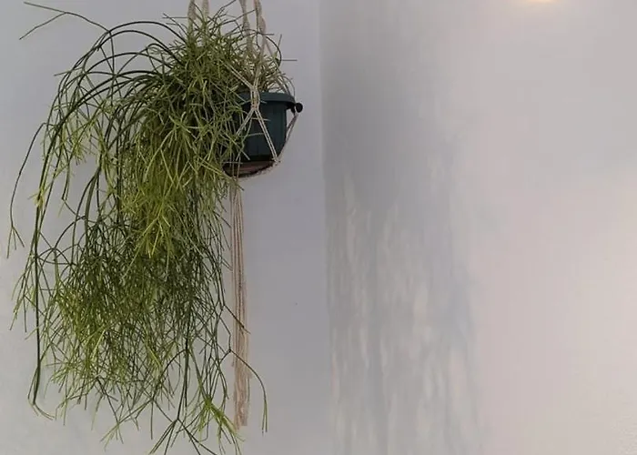 Entire Hosted By Noam *