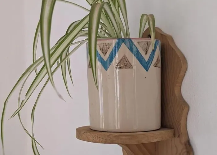 Entire Hosted By Noam Casa rural