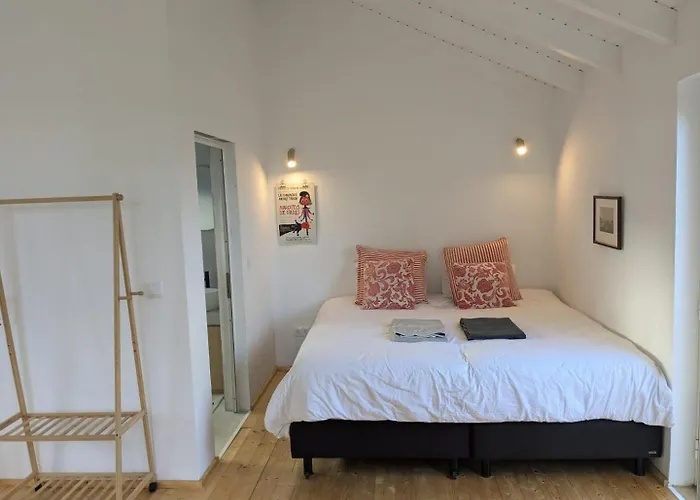 Entire Hosted By Noam Cercal do Alentejo